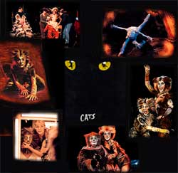 Am So. 25.02.2001 moderierte ich die groe Vorpremiere des Musicals "CATS" in Stuttgart!