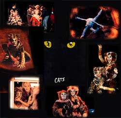 Am So. 25.02.2001 moderierte ich die gro�e Vorpremiere des Musicals "CATS" in Stuttgart!