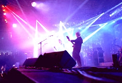 Ich liebe Live-Gigs - die Atmosphre und die Animation des Publikums!